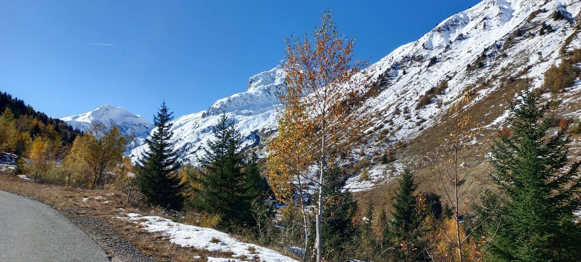 فيلا Chalet Le Loup Bouquetin Saint-Colomban-des-Villards المظهر الخارجي الصورة